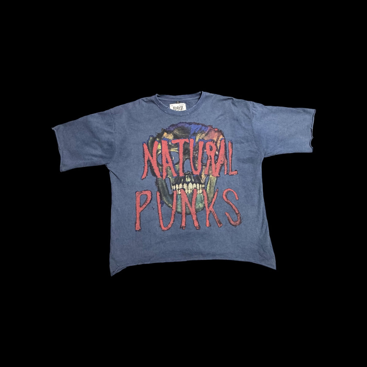 NATURAL PUNKS